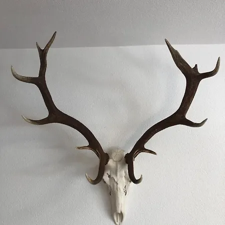 Posthof 33 Apartamento Kitzbühel